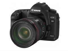 Canon EOS 5D II + EF24105 ISUSM