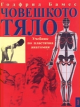 Човешкото тяло. Учебник по пластична анатомия